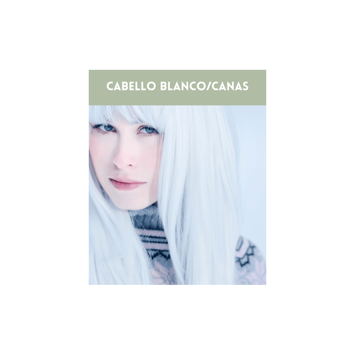 Pack cabellos blancos y con canas FAUVERT